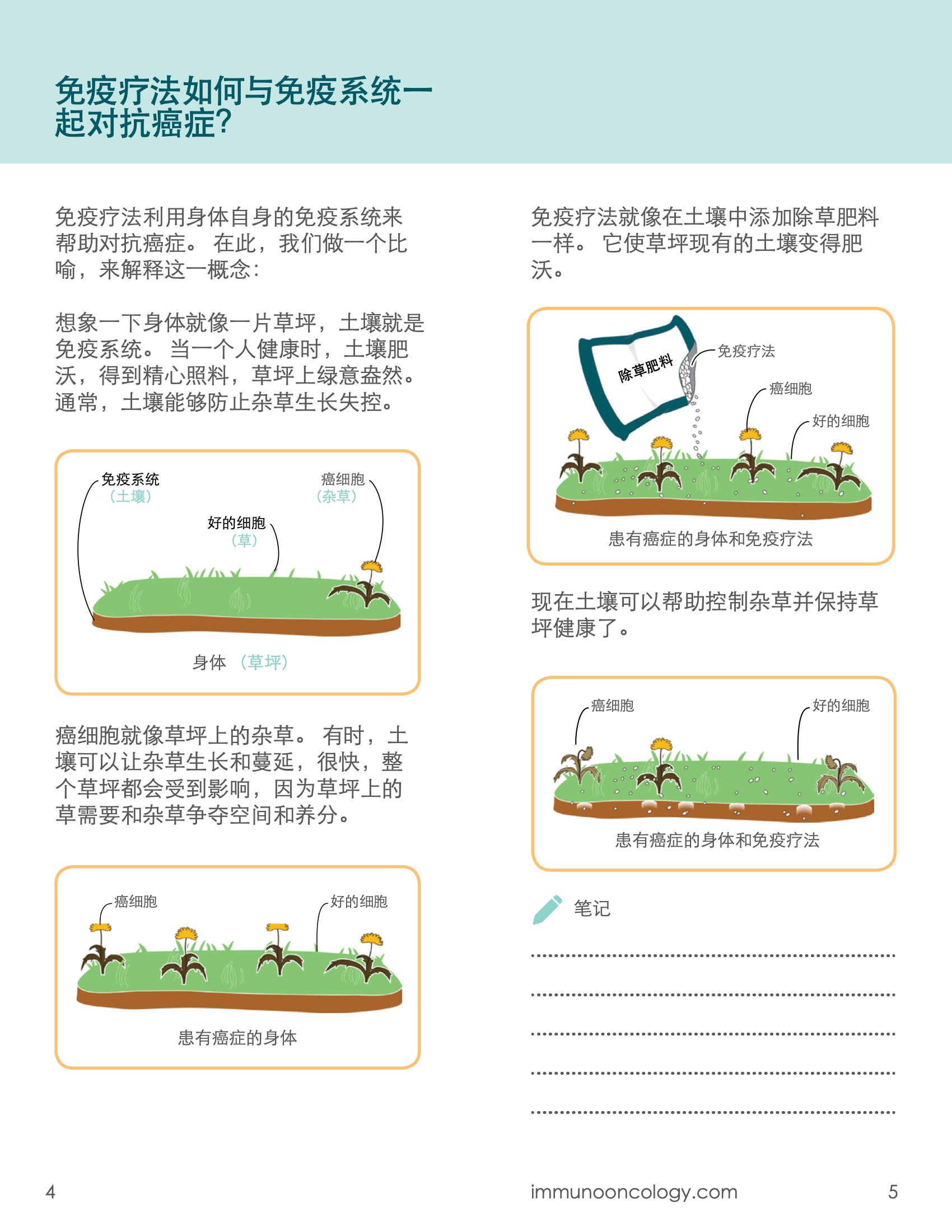 A Guide to I-O in Blood Cancers for Caregivers_Chinese 3.jpeg